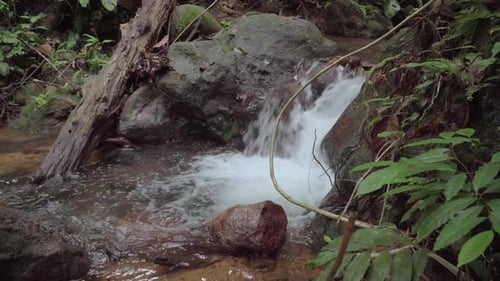 Mountain river in tropical rainforest. Rapid waterfall in creek. Peaceful stream flows over rocks an