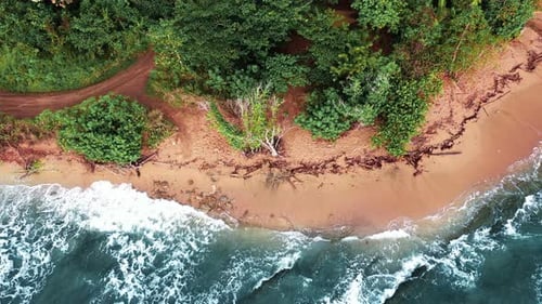 Overhead aerial 4k shot of waves breaking on a sand beach next to a tropical jungle. Azure ocean and