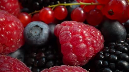 Fresh Berries Close Up Delicious Fruit