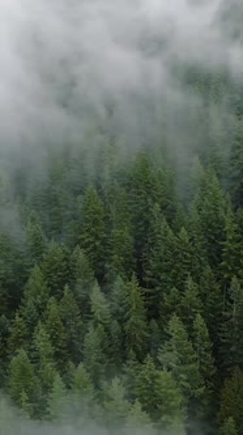 Aerial View of Beautiful Mountain Landscape Fog Rises Over the Mountain Slopes