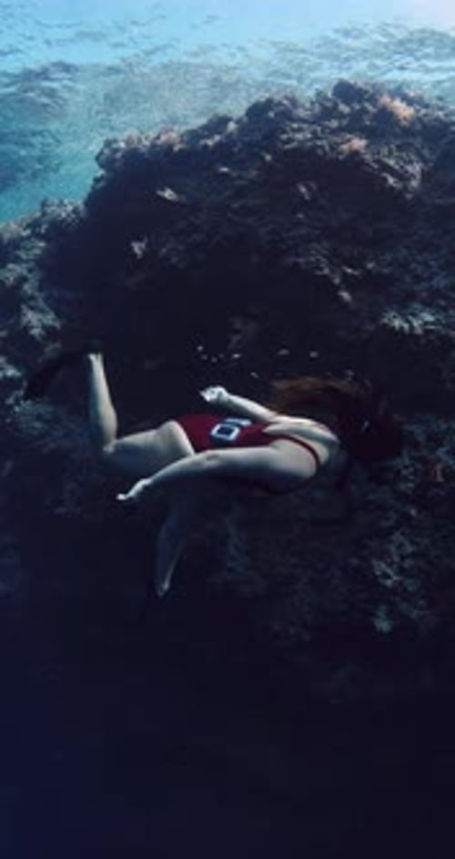 Freediver Woman Glides Undersea in Blue Ocean Free Diving in Tropical Clear Sea Near Coral Reef