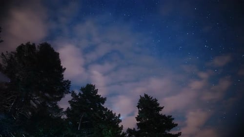 Stars (2K)