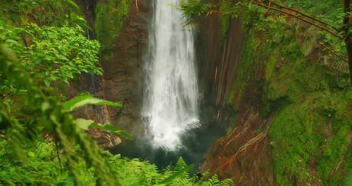 Close view of powerful waterfall Catarata del Toro plunging into deep dark pool in rainforest Costa