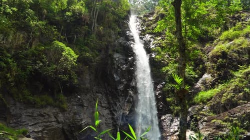 Descending view of beautiful Ta Gu waterfall inside a lush jungle. Vietnam