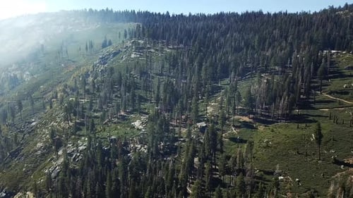 Aerial Shot Of Pristine Mountain Forests In Yosemite National Park, Travel Destination For Tourists