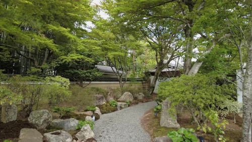 Japanese Zen Garden green environment