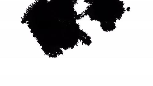 Artistic Black Ink Bleed Reveal Transition