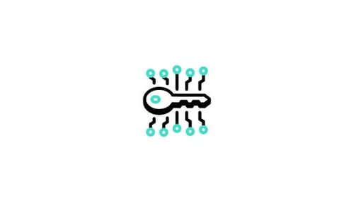 Digital Key Access Icon with Circuit Board Animation