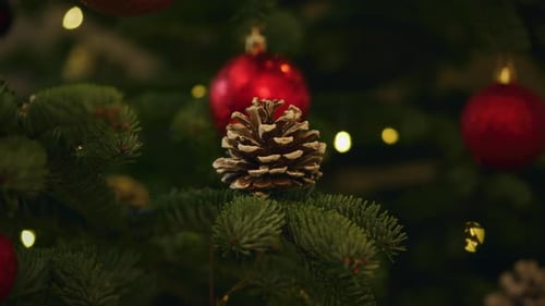 Decorated Christmas Tree with Ornaments and Lights
