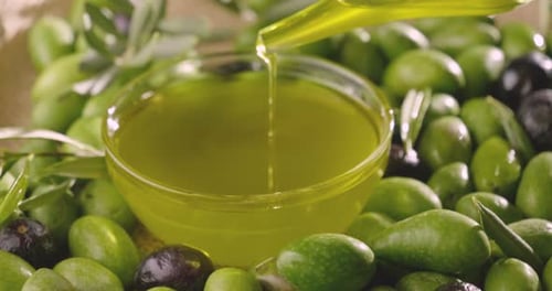Composition of freshly harvested Italian genuine olives and oil . Concept of: olives, italian food