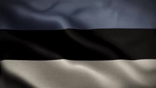 Waving Fabric Flag with Integrated Logo Background