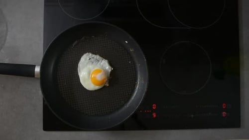 Birdview of a egg