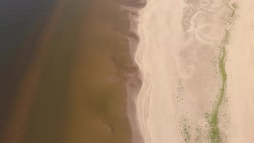 Summer Seashore