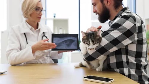 Veterinarian Showing X-Ray to Cat Owner