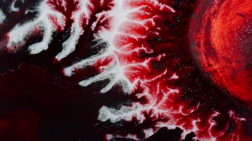 Abstract red white and black paint swirling together