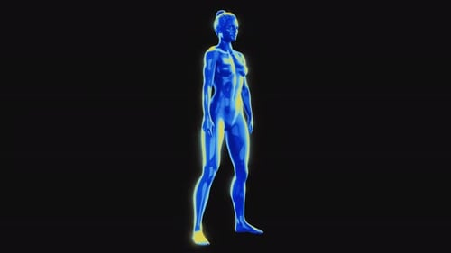 3D Animated Female Body Performing Squats with Heatmap Effect