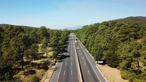 Road with woods forest and trees and grass, cars passing by on a sunny day. Aerial view of the cars