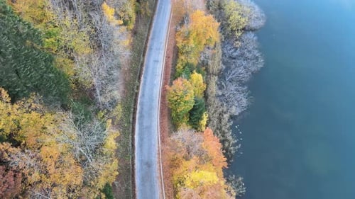 autumn road