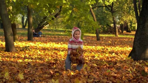 Child Laughs and Throws Leaves in Autumn Park in Evening at Sunset Outdoors