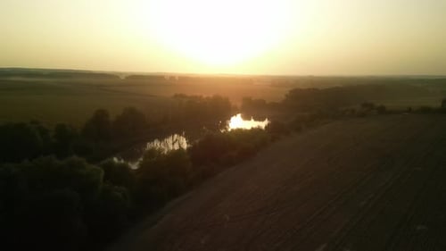 Swans on the lake at sunset. Sunset on the lake in the fields