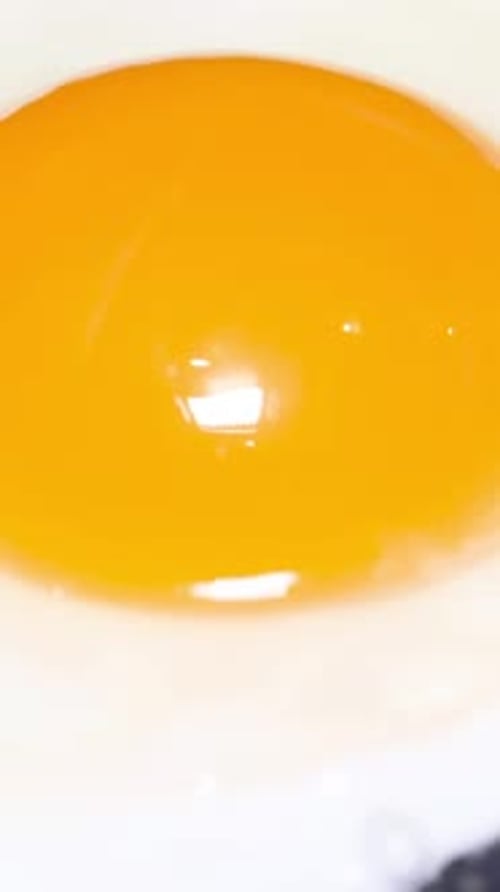 Cooking an Egg in a Pan Cooking Fried Egg Vertical Video