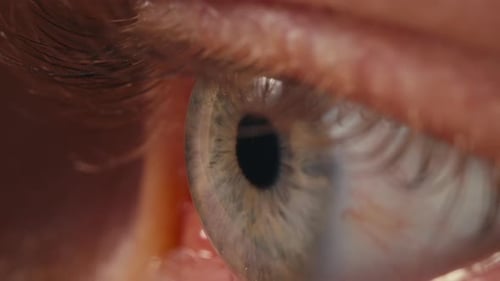 Extreme Close-Up of Person's Eye Iris