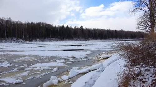 Frühling, Wald und Eis am Fluss 17