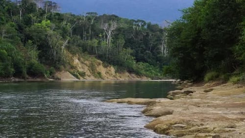 One of the amazon streams in Peruvian jungle