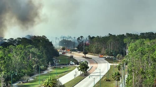 Fire Department Firetrucks Extinguishing Wildfire Burning Severely in Florida Jungle Woods Emergency