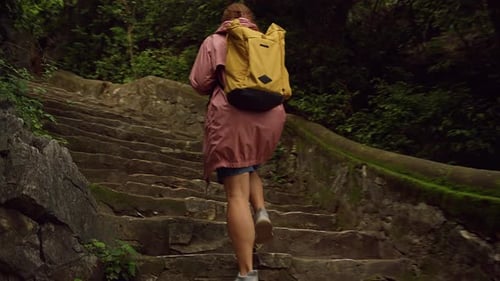 Woman Hiker Ascends Lush Mountain Stone Steps