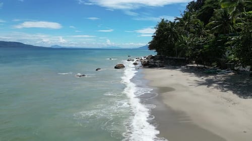 Ocean Waves Wash Empty Sandy Beach with Exotic Trees