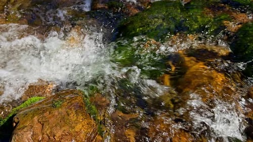 Mountain River an einem Sommertag