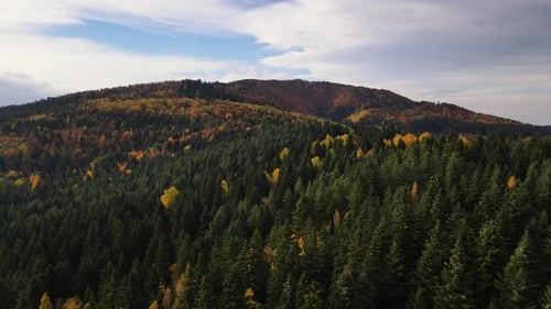 Drone Sliding Left Over Yellowed Autumn Colored Trees and Mountains Aerial View of the Scenic and