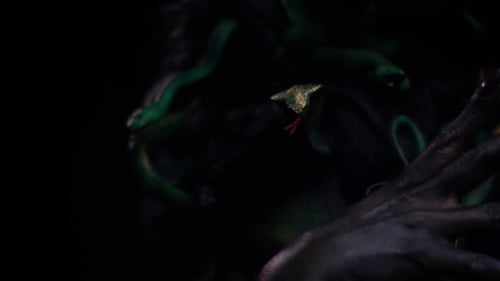 Striking Medusa with Snakes Close Up