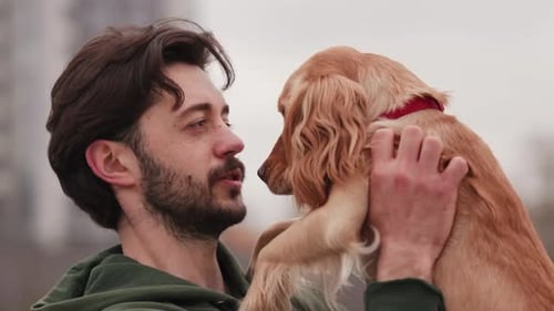 A Bearded Man Holds a Cocker Spaniel in His Arms and Looks Into His Eyes A Man in a Green Sweater