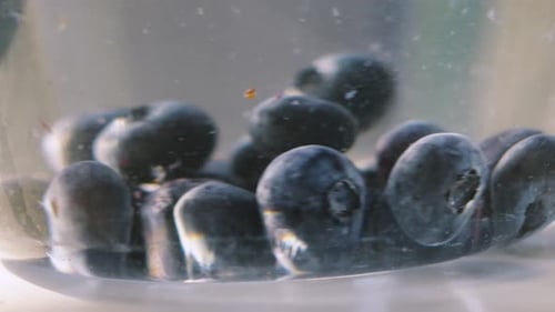 Clean Fresh Blueberries Spinning in Glass Bowl Full of Water. Washed Fruit Ripe and Ready to Eat.