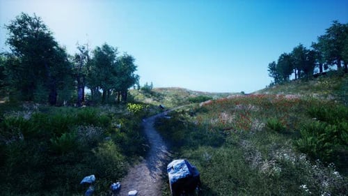 Beautiful Valley with Green Trees