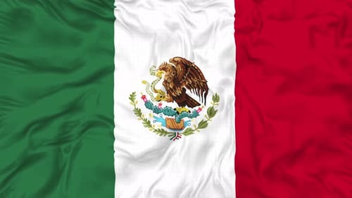 Realistic Waving Mexico Flag Vertical Loop Animation
