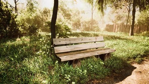 Seating Area on the Valley Walking Trail