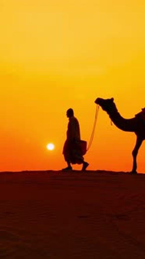 Vidéo verticale Cameliers, conducteurs de chameaux au coucher du soleil. Désert du Thar au coucher du soleil Jaisalmer, Rajasthan, Inde.