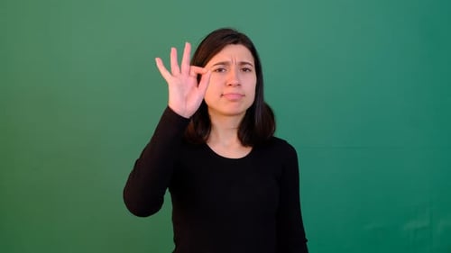 Genehmigungsschild