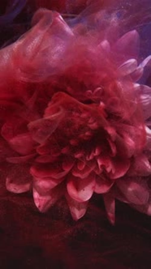 Abstract Colorful Paint Motion