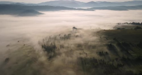 Misty Valley at Sunrise Aerial Landscape
