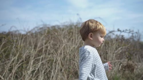 Toddler boy walks in field on sunny day against tall dead bushes