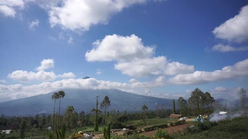 beautiful natural landscape mountains hilly nature panorama, with forest of tall green trees