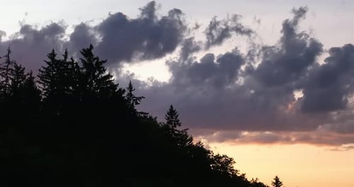 Scenic Forest Silhouette at Sunset with Glowing Sun on the Horizon Warm Orange Sky and Tall Pine