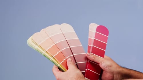 Color Pallet Choosing the Color By Designer Furniture Real Estate or Construction Works Creative