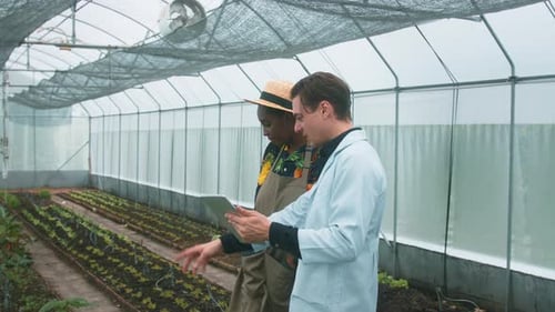 Farmers Using Tablet in Greenhouse Inspecting Crops
