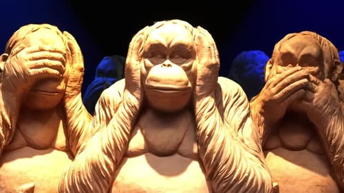 Monkeys Acting 01 Hd