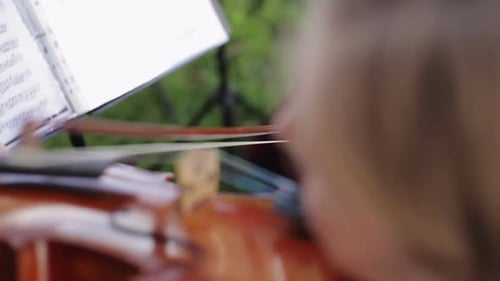 String Quartet Playing Violins and Cello Outdoors